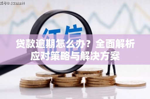 万载贷款逾期怎么办？全面解析应对策略与解决方案