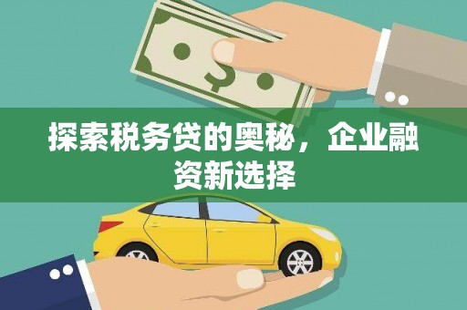 万载探索税务贷的奥秘，企业融资新选择