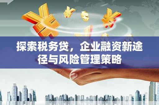 万载探索税务贷，企业融资新途径与风险管理策略