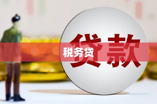 万载税务贷