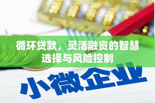 万载循环贷款，灵活融资的智慧选择与风险控制