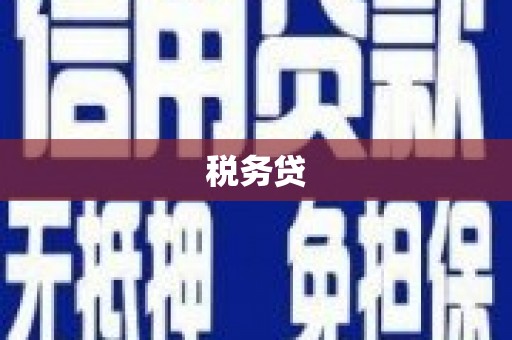 万载税务贷