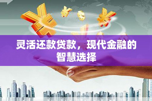 万载灵活还款贷款，现代金融的智慧选择