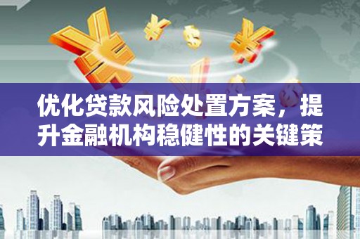 万载优化贷款风险处置方案，提升金融机构稳健性的关键策略