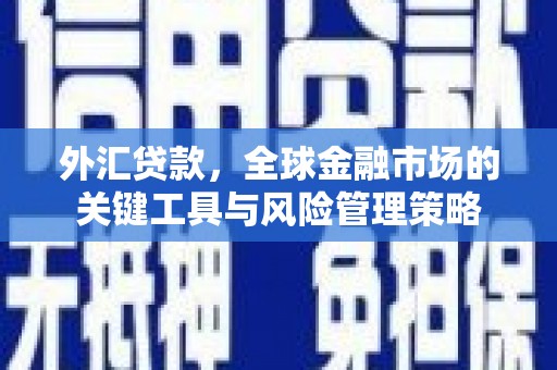 万载外汇贷款，全球金融市场的关键工具与风险管理策略