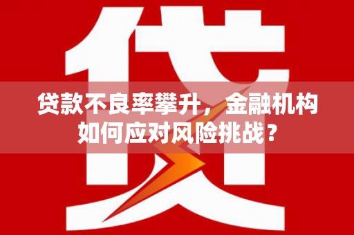 万载贷款不良率攀升，金融机构如何应对风险挑战？