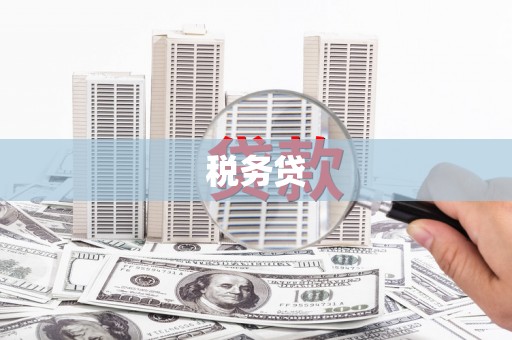 万载税务贷