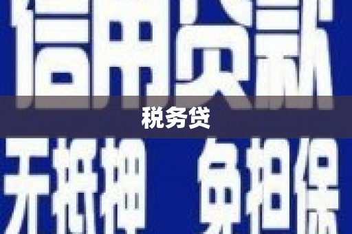 万载税务贷