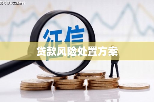 万载贷款风险处置方案