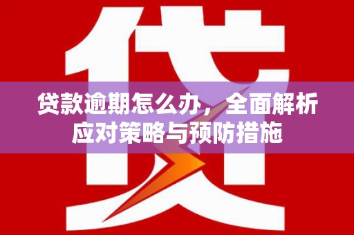 万载贷款逾期怎么办，全面解析应对策略与预防措施