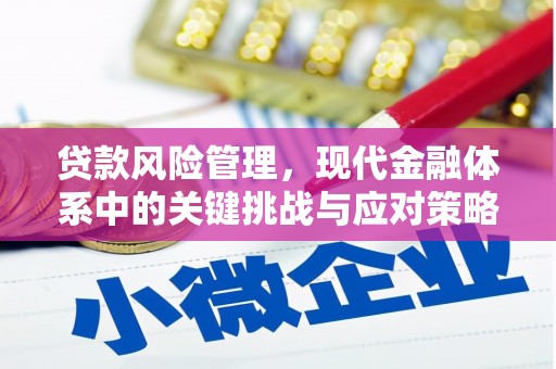 万载贷款风险管理，现代金融体系中的关键挑战与应对策略