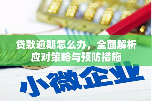 万载贷款逾期怎么办，全面解析应对策略与预防措施