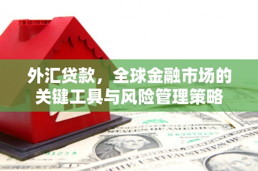 万载外汇贷款，全球金融市场的关键工具与风险管理策略