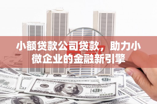 万载小额贷款公司贷款，助力小微企业的金融新引擎