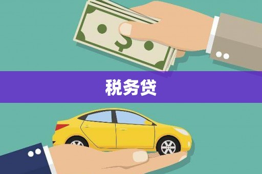 万载税务贷