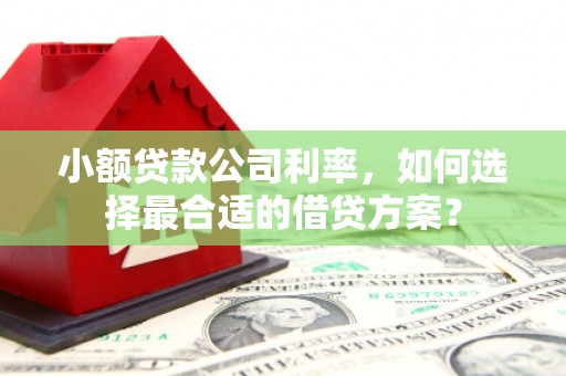 万载小额贷款公司利率，如何选择最合适的借贷方案？