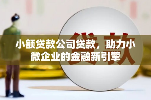 万载小额贷款公司贷款，助力小微企业的金融新引擎