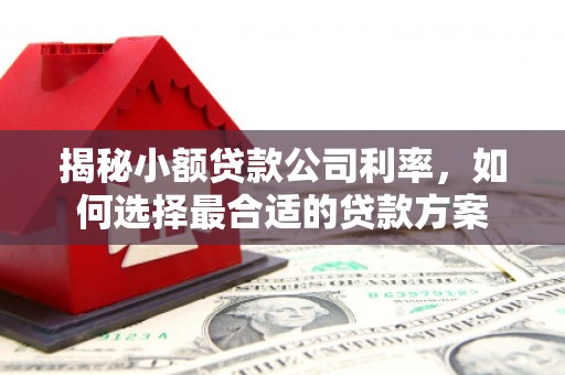 万载揭秘小额贷款公司利率，如何选择最合适的贷款方案