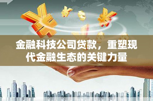 万载金融科技公司贷款，重塑现代金融生态的关键力量
