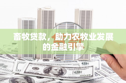 万载畜牧贷款，助力农牧业发展的金融引擎