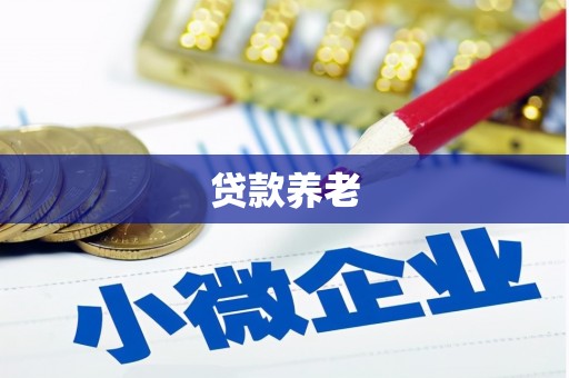 万载贷款养老