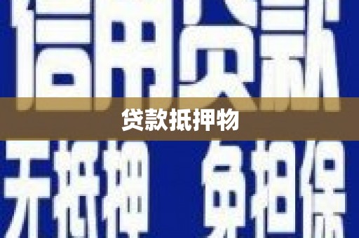 万载贷款抵押物