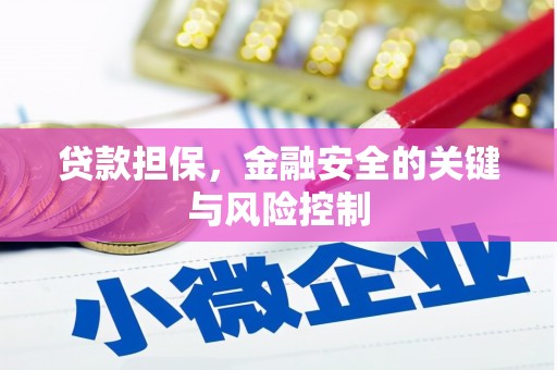 万载贷款担保，金融安全的关键与风险控制