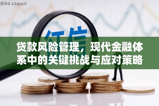 万载贷款风险管理，现代金融体系中的关键挑战与应对策略