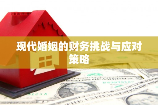 万载现代婚姻的财务挑战与应对策略