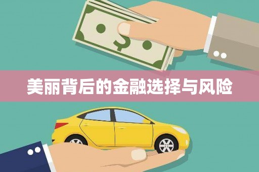万载美丽背后的金融选择与风险