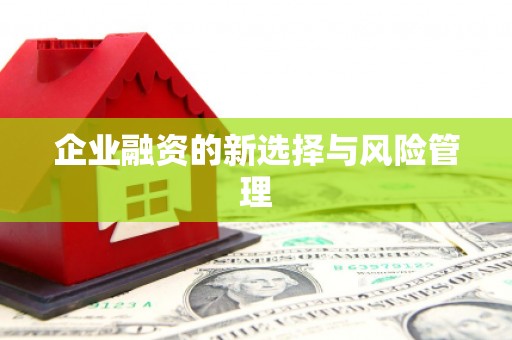 万载企业融资的新选择与风险管理