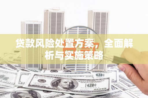 万载贷款风险处置方案，全面解析与实施策略