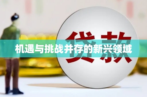 万载机遇与挑战并存的新兴领域
