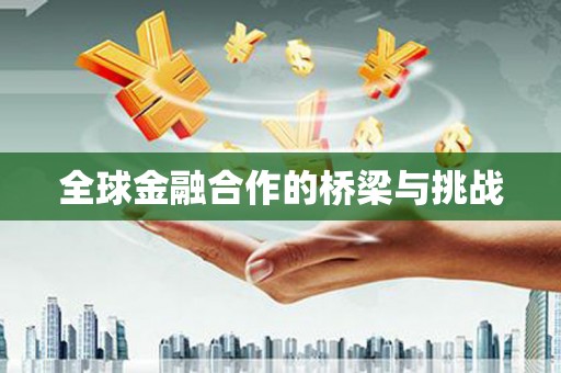 万载全球金融合作的桥梁与挑战