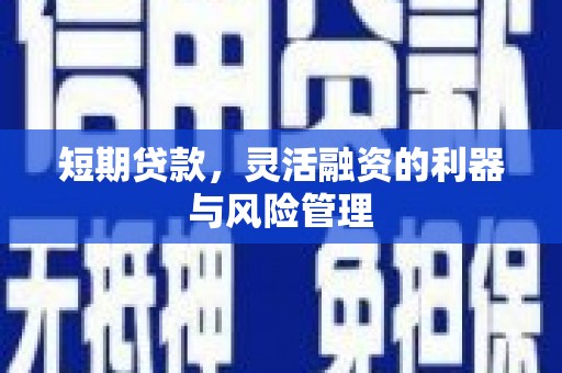 万载短期贷款，灵活融资的利器与风险管理