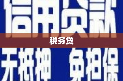 万载税务贷